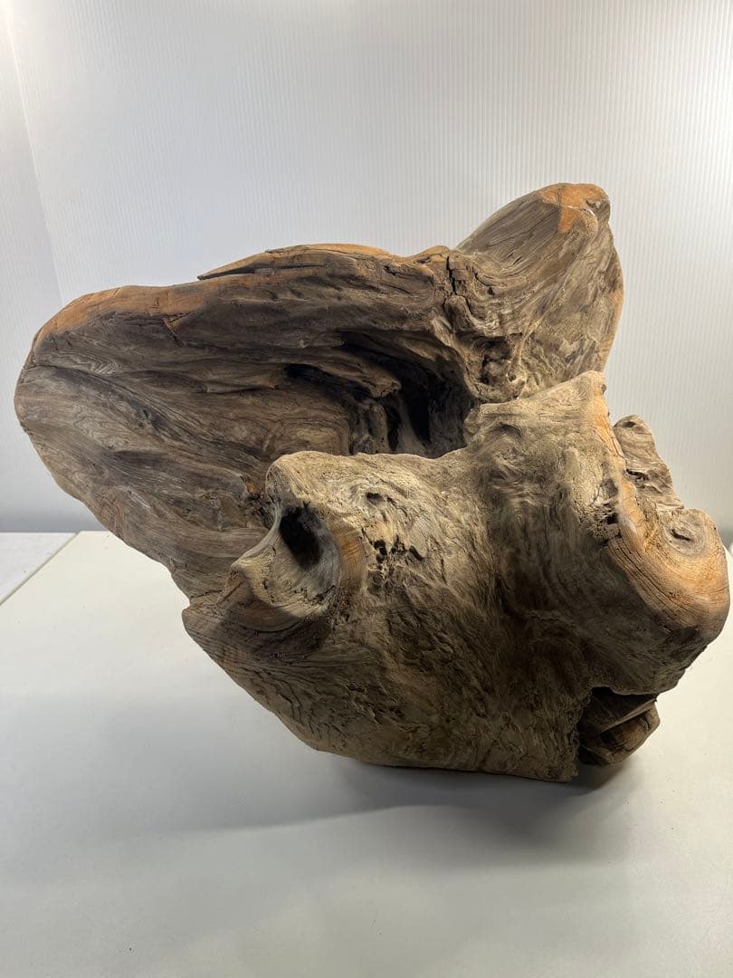 k64大型流木 アク抜き済み 爬虫類シェルター レイアウト用 登り木 インテリア