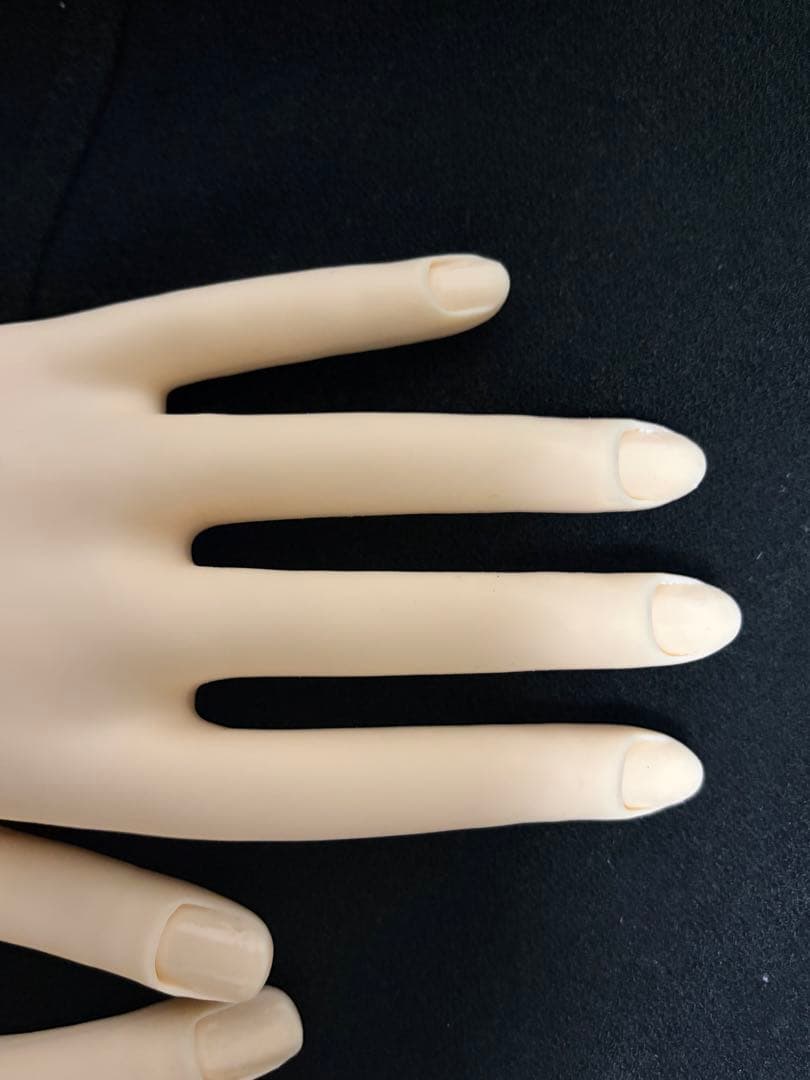 認定モデルハンド