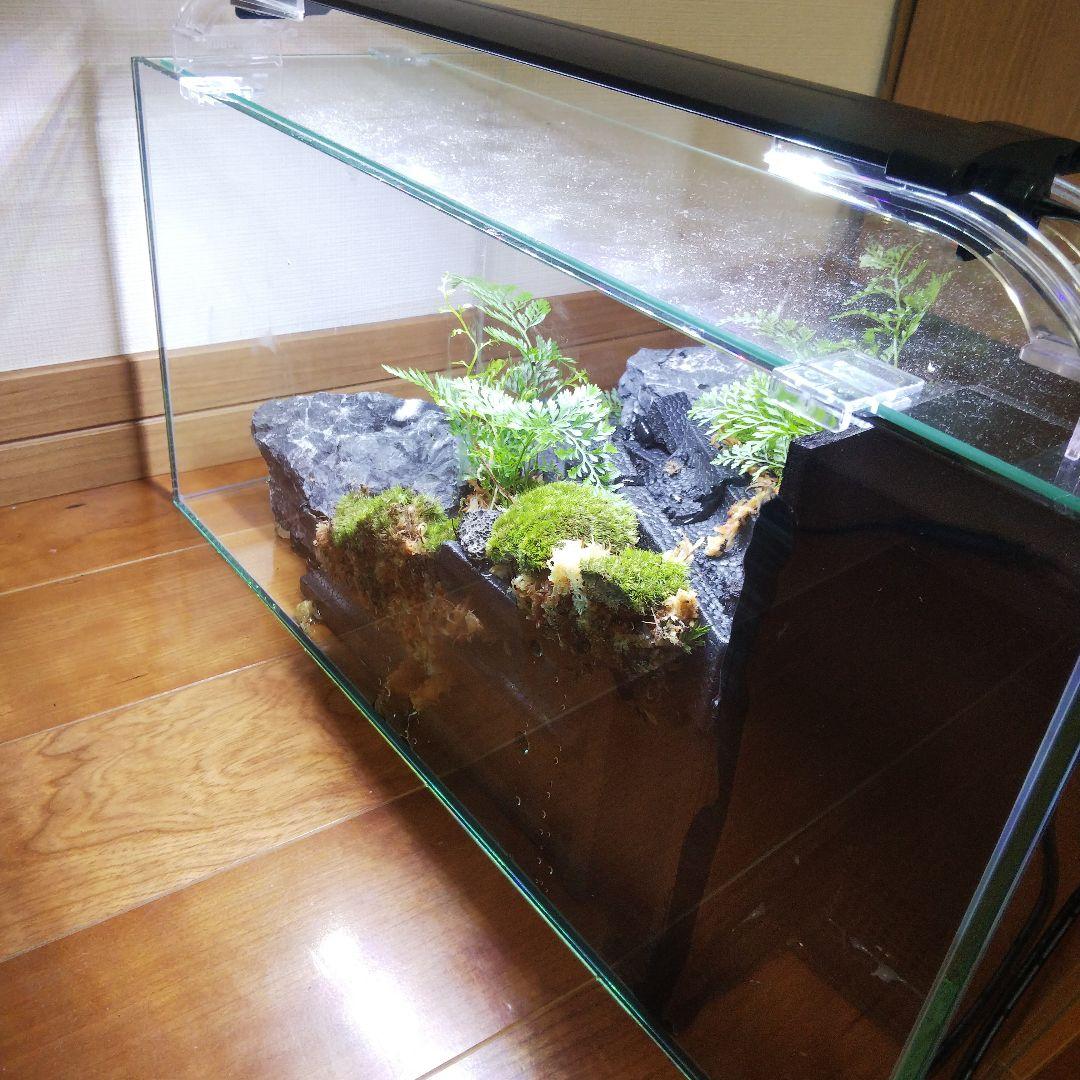 【受注生産】滝の流れるアクアテラリウム　イモリウム　苔テラリウム　テラリウム