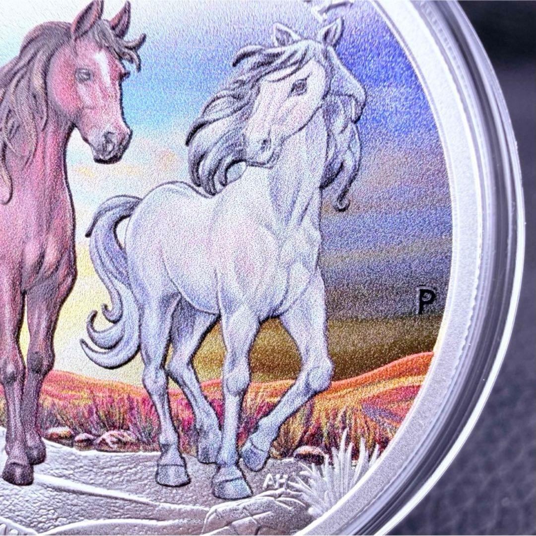 銀貨 ブランビー 野生馬 カラー プルーフ 純銀 保証書 1500枚限定