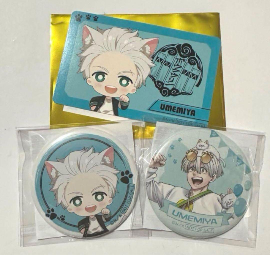 WIND BREAKER 梅宮一 ウィンブレ ナンジャタウン 缶バッジ 特典