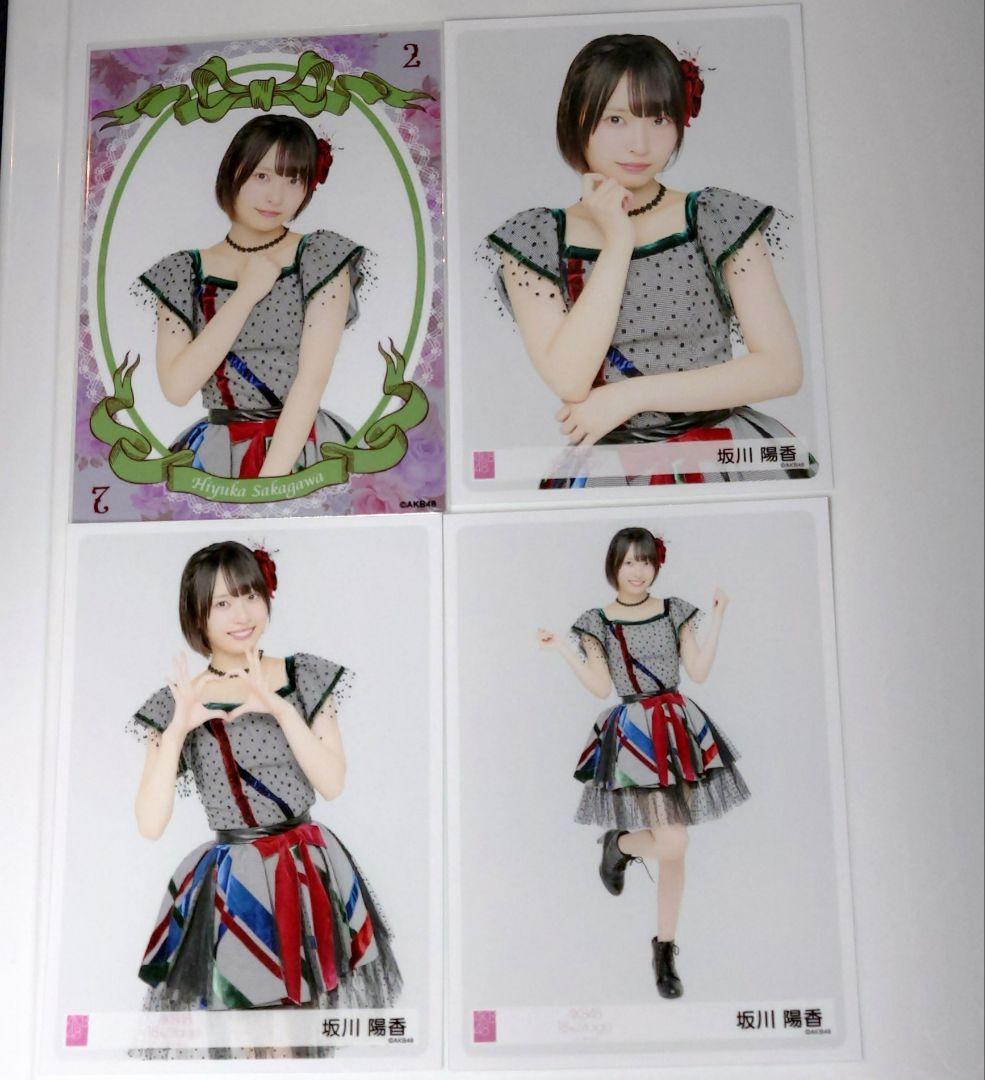 【Y】 【ここからだ】写真会生写真セット