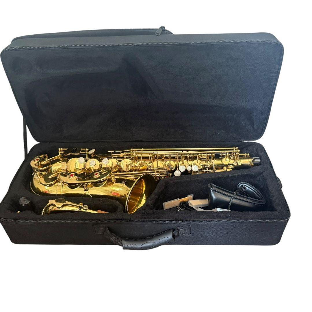 ケルントナー　アルトサックス　純正ケース Kaerntner