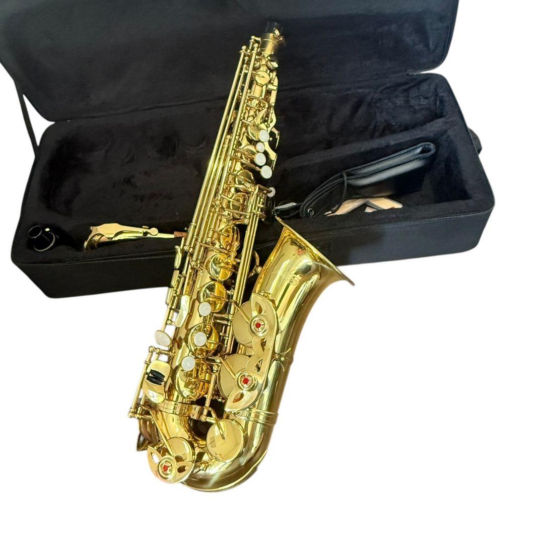 ケルントナー　アルトサックス　純正ケース Kaerntner