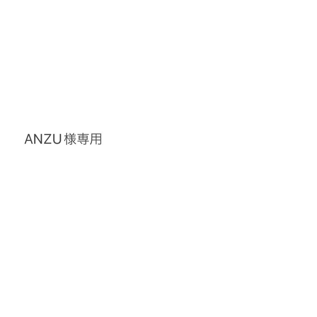 ANZU　①