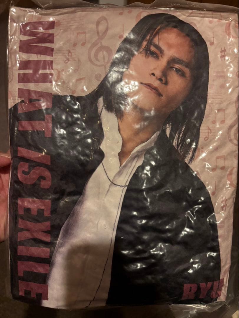 龍 WHAT IS EXILE クッション