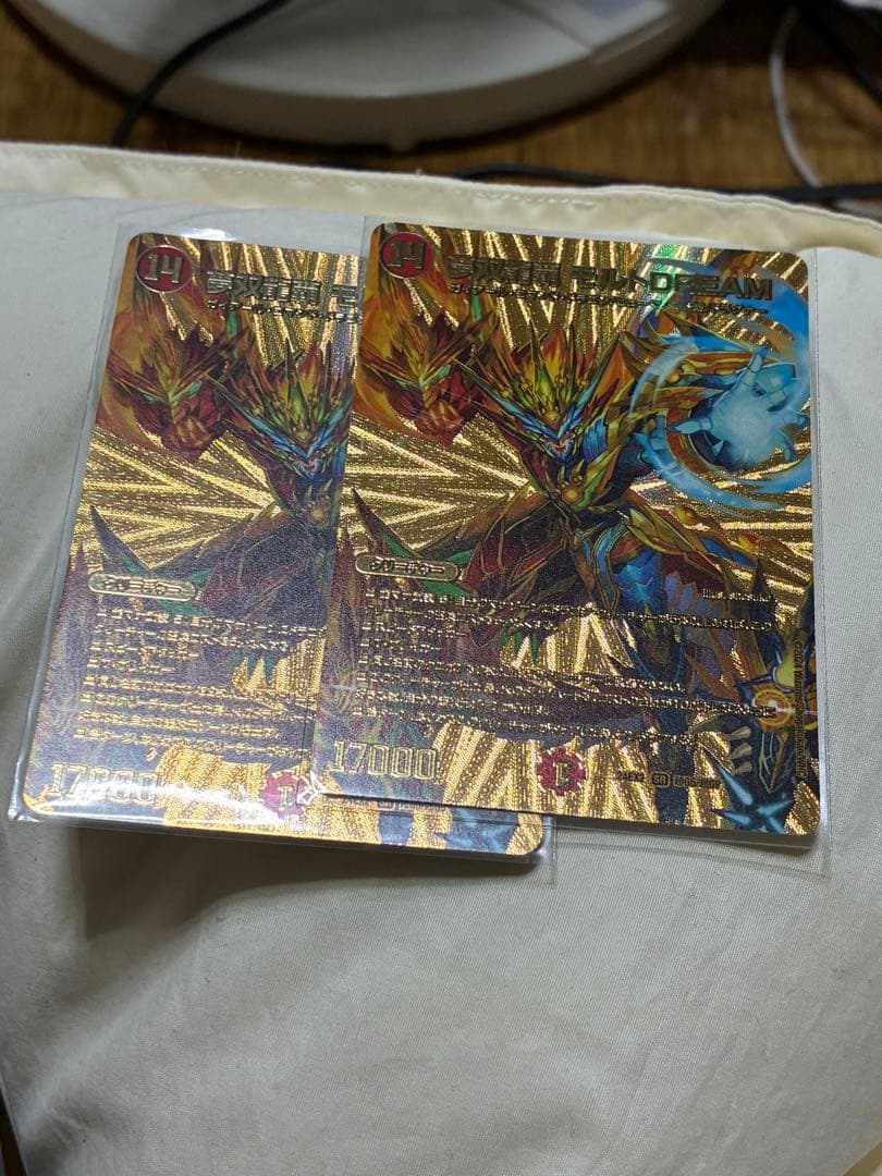 モルトドリーム　金