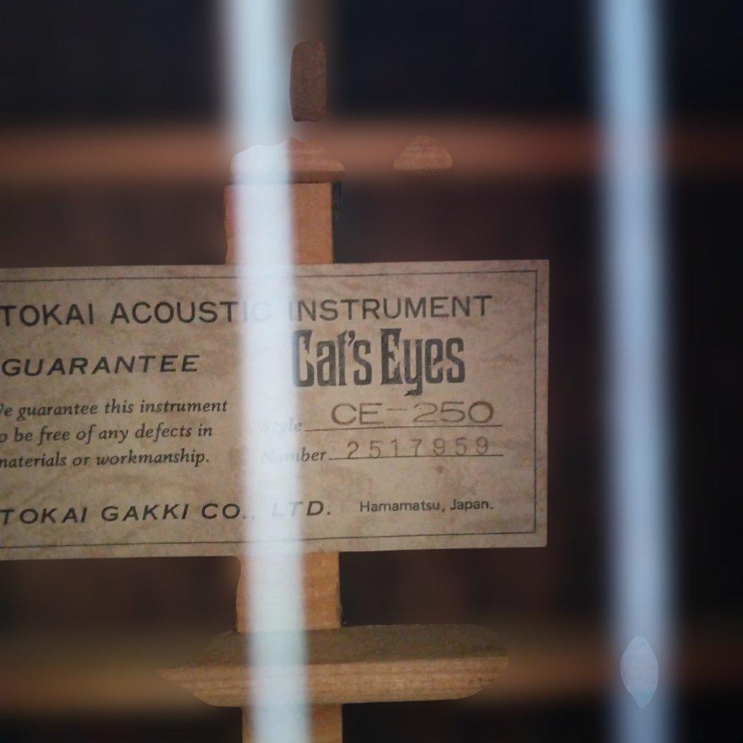 Tokai CE-250 Cat's Eyes アコースティックギター