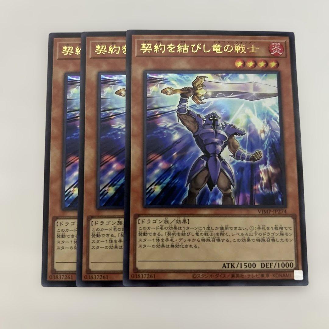 契約を結びし竜の戦士　3枚