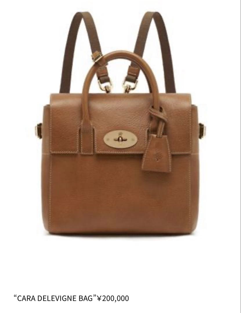 マルベリー×カーラ・デルヴィーニュ 3wayバッグ ベイズウォーター