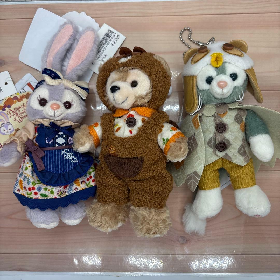 専用 秋のぼうけんぬいぐるみバッジ#863