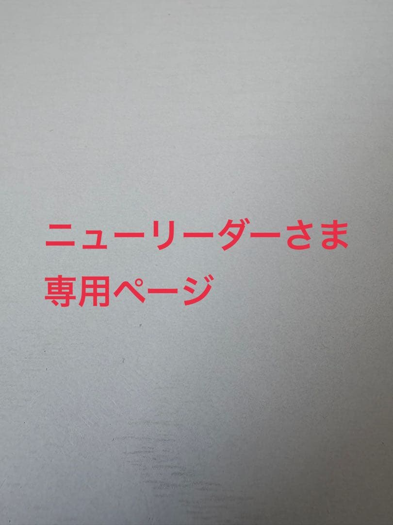 ニューリーダーさま スラッグ&ダニエル未開封