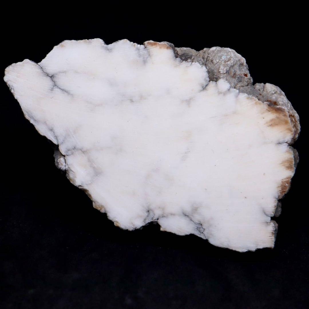 アメリカ産 ハウライト 301.9g HWT014 原石 天然石　パワーストーン