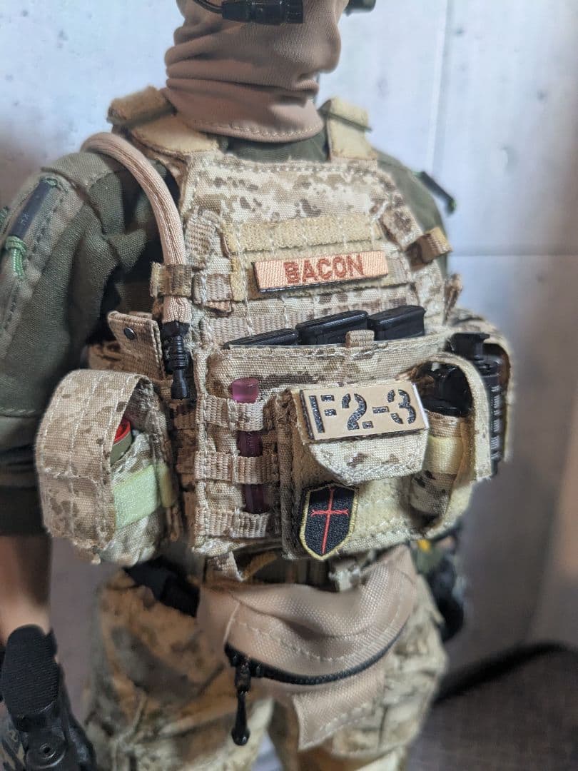 1/6 12インチ アメリカ軍特殊部隊 DEVGRU CS