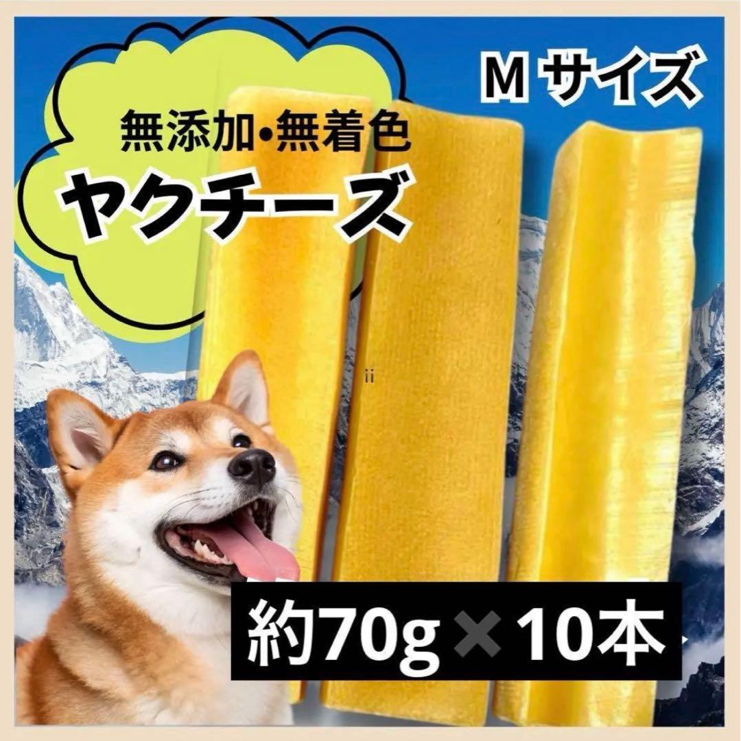 期間限定価格！ヒマラヤ産ヤクチーズ Mサイズ 10本セットまとめ売り