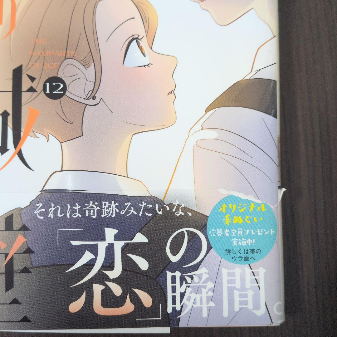 氷の城壁 全12巻セット