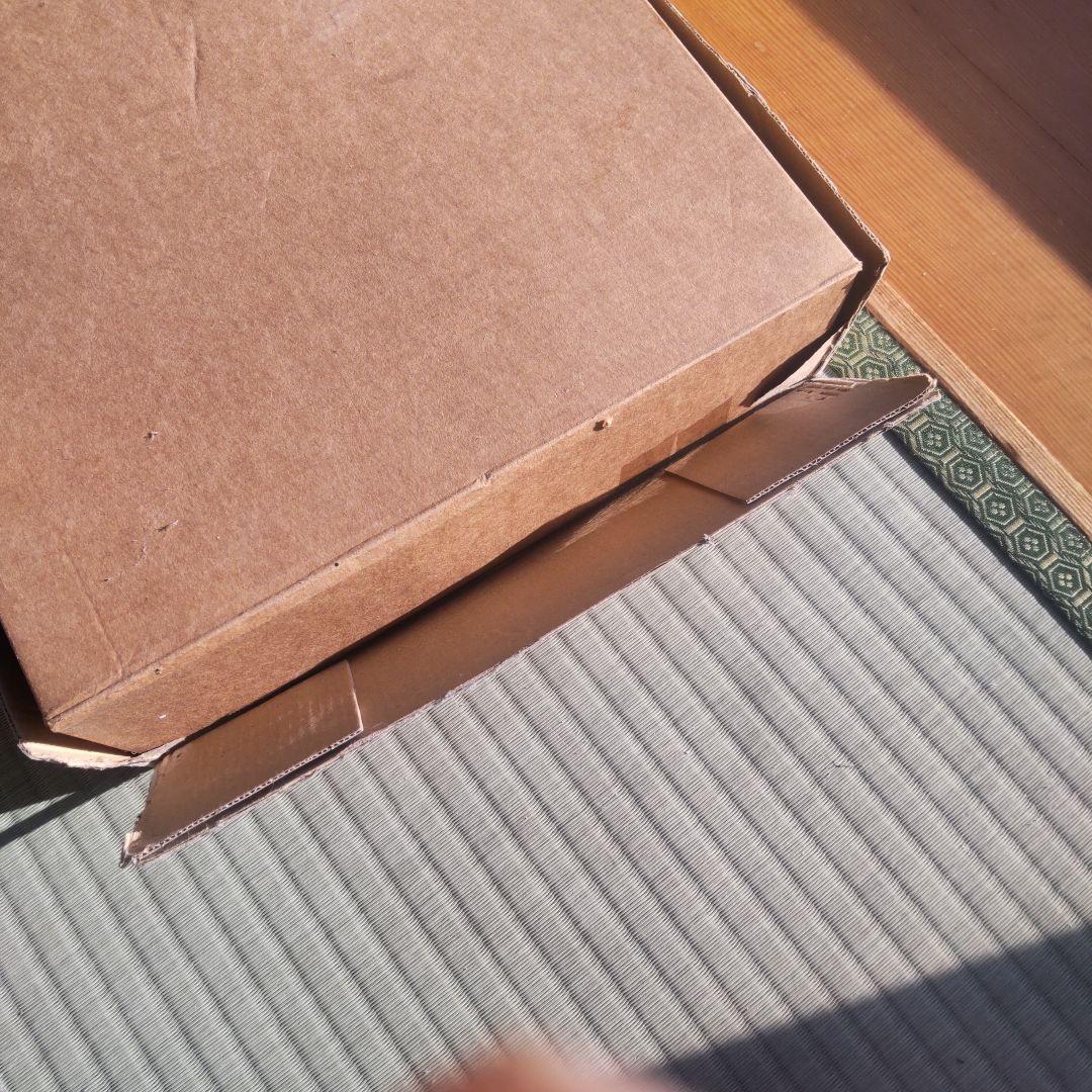 ポケモンクリスマスツリー