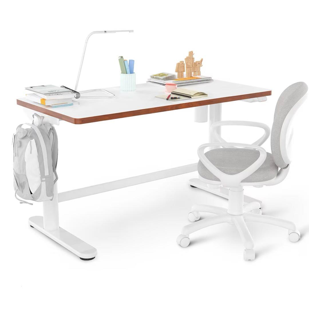 FLEXISPOT SD1 電動昇降式デスク 100x60cm キャスター付き