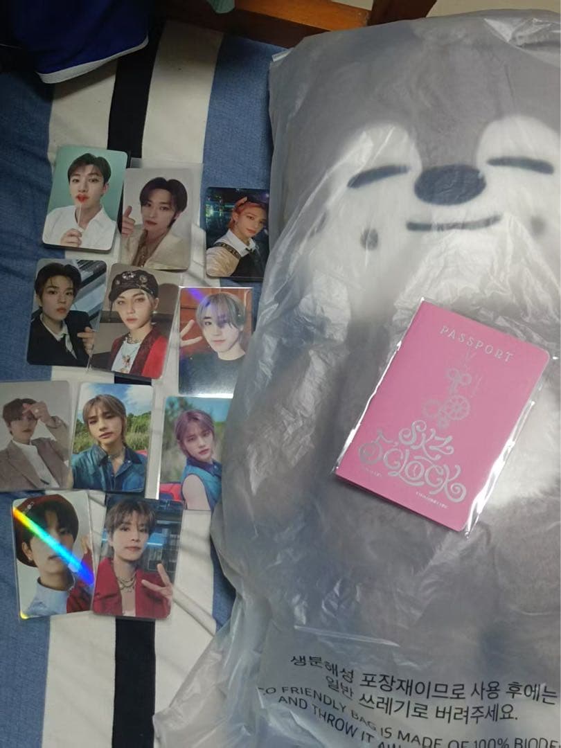 アイドル straykids skzoo Teddy