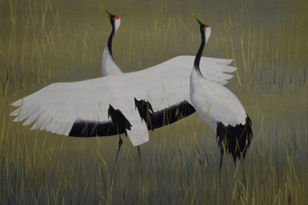 真作/川村憲邦/翔鶴/桐共箱付/布袋屋掛軸HG-560