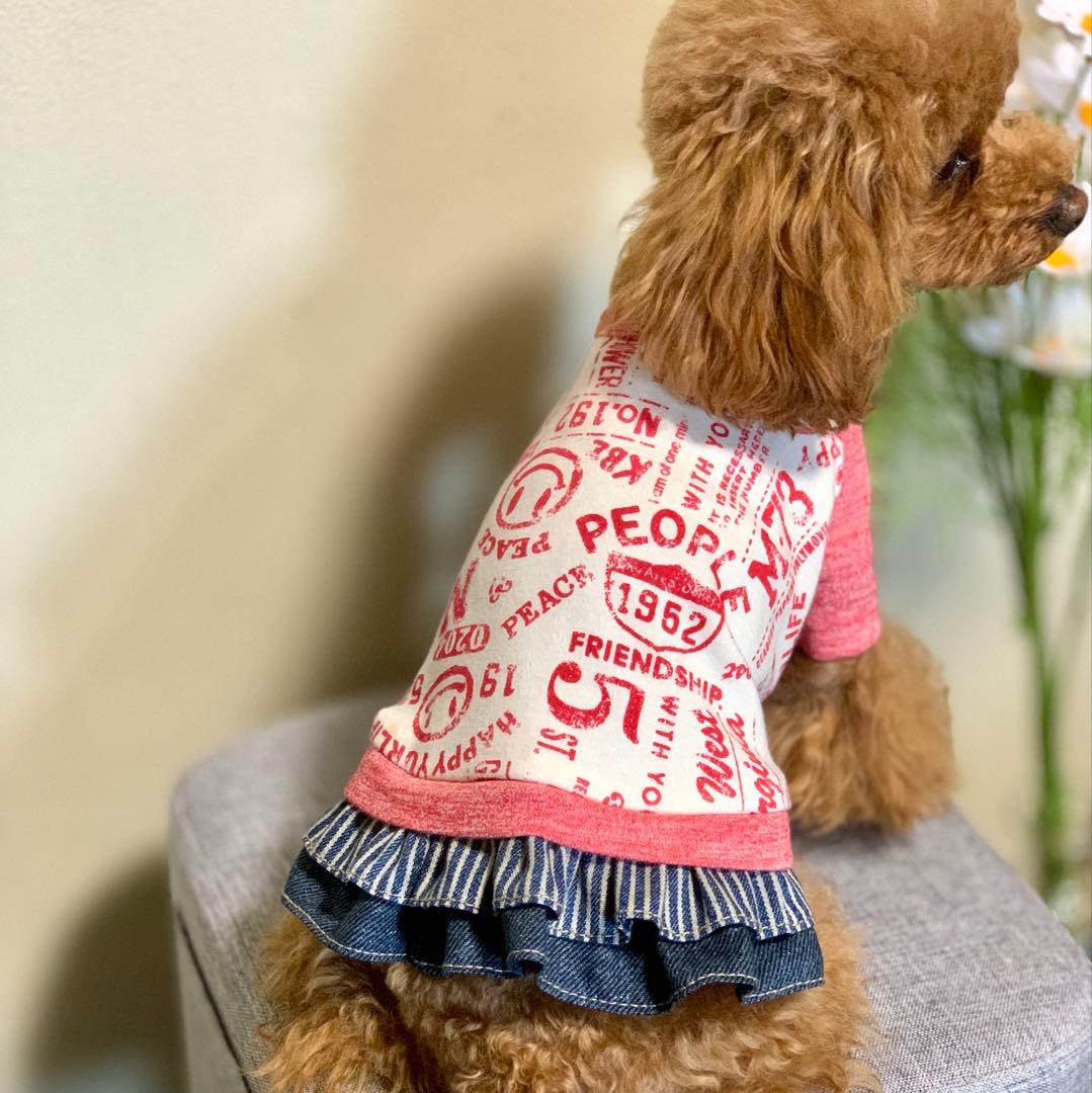 No.23 ハンドメイド犬服 ラグラン半袖Tシャツワンピース