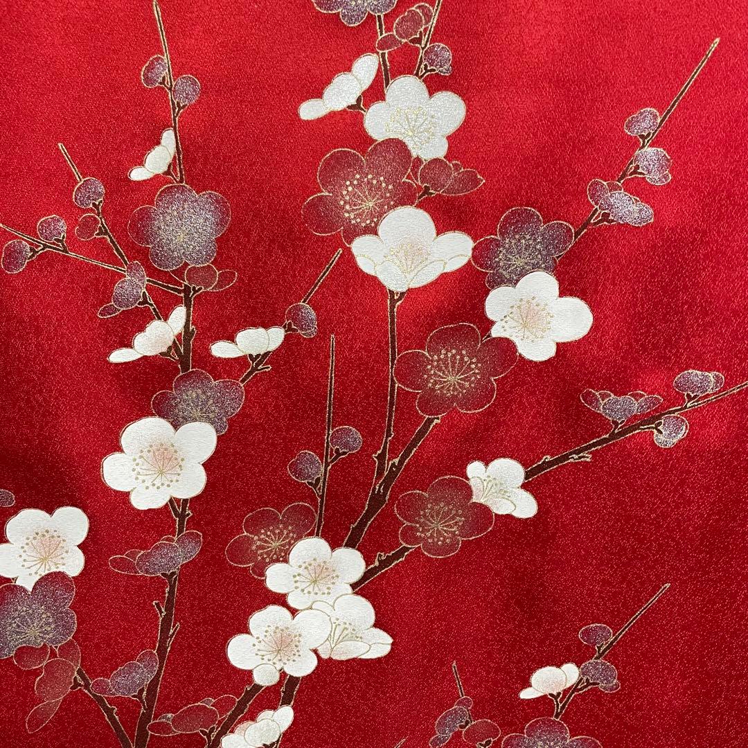 D773 振袖　松　牡丹　蝶々　金彩　正絹　着物　袷　極美品