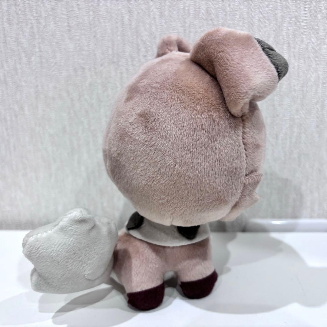 専用　ポケモン　イワンコ　ドールズ　ぬいぐるみ　ポケモンドールズ