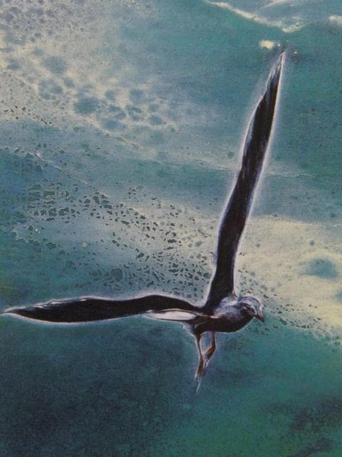 相田幸男、【翔－エトルタ・アヴァル崖】、希少な画集画、新品高級額・額装付