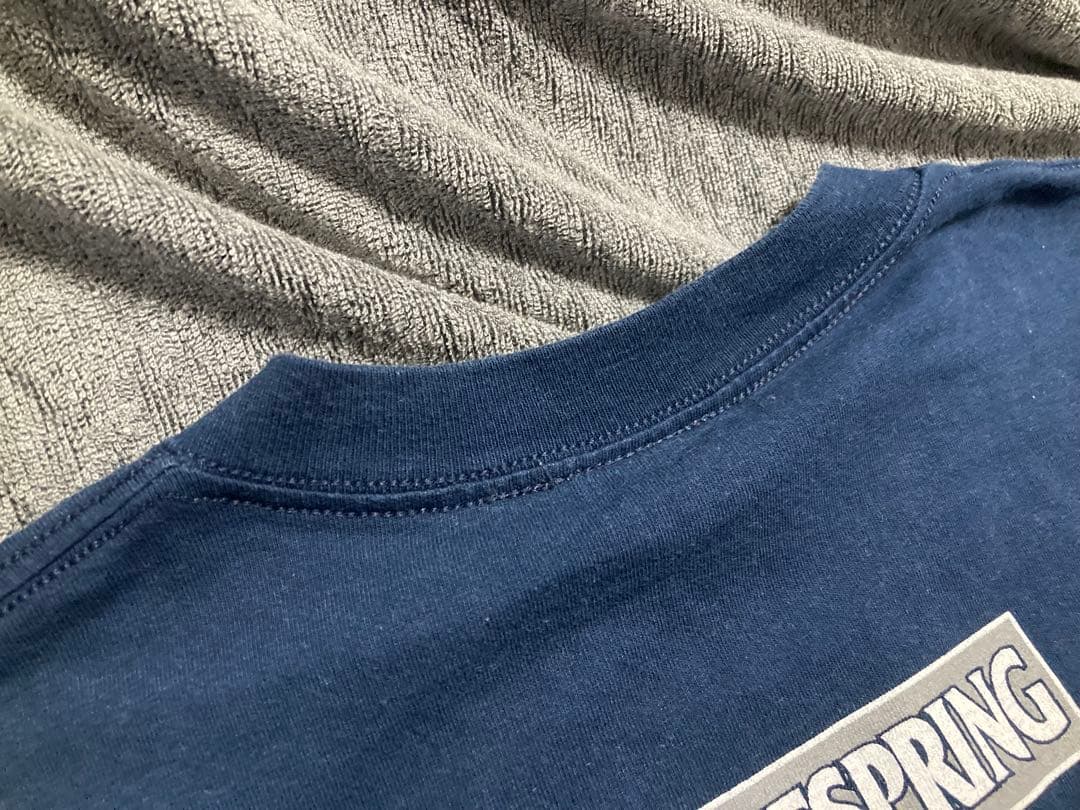 バンドTシャツ ビンテージ オフスプリング pretty fly