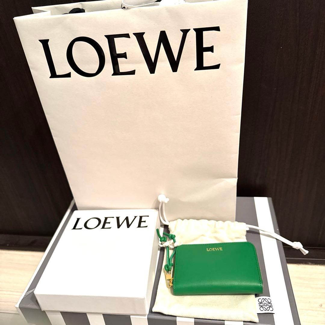 新品⭐︎ロエベ⭐︎デイジージップパース