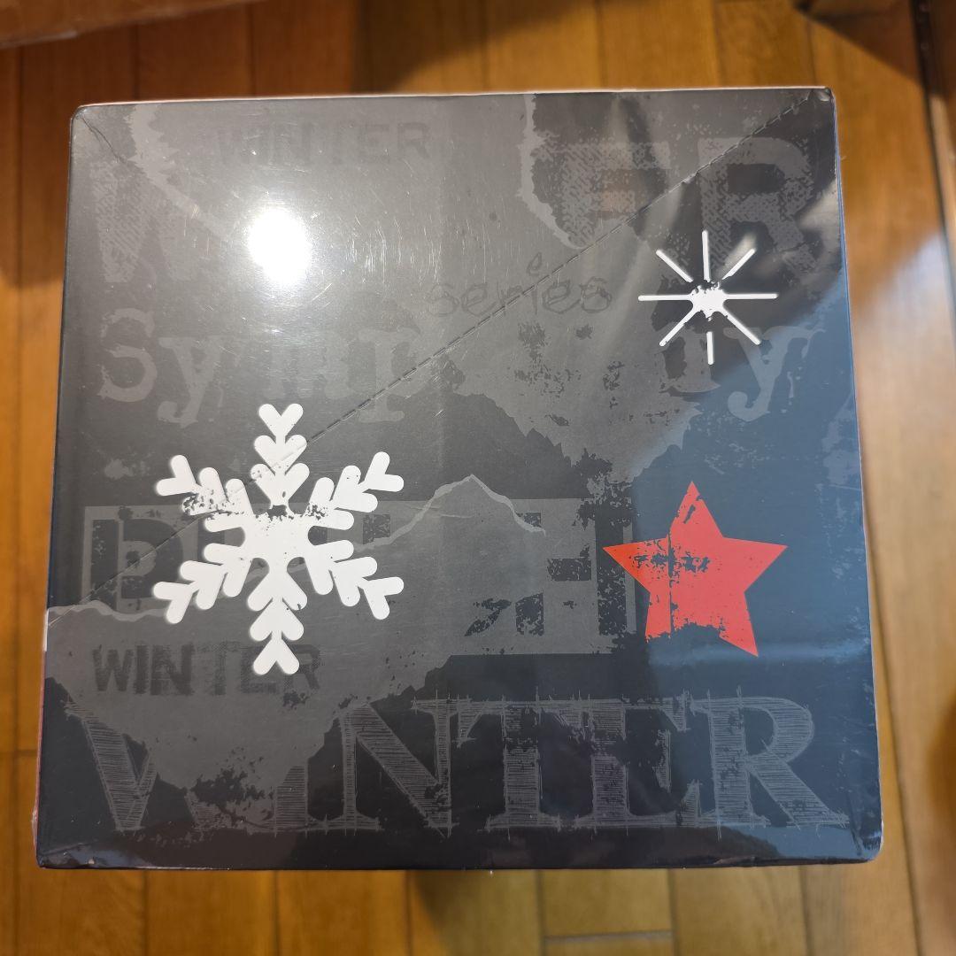 新品POPMART SKULLPANDA 冬日楽章 キーホルダーBOX 6個入