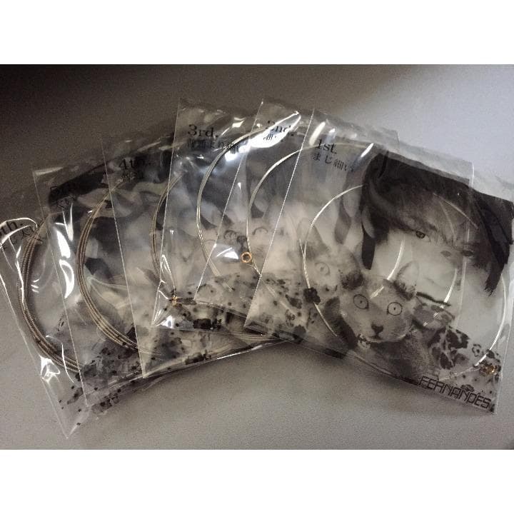 【入手困難】エレキギター弦　ラルクKen