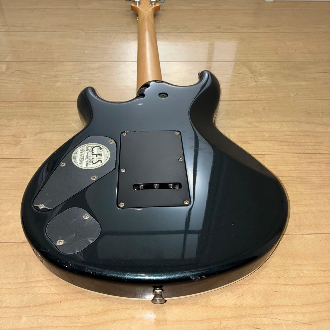 超希少　History(フジゲン) ZGF CFS 富士弦製　日本製