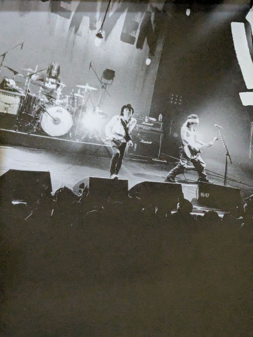 クロマニヨンズ ポスター 柴田理恵写真展