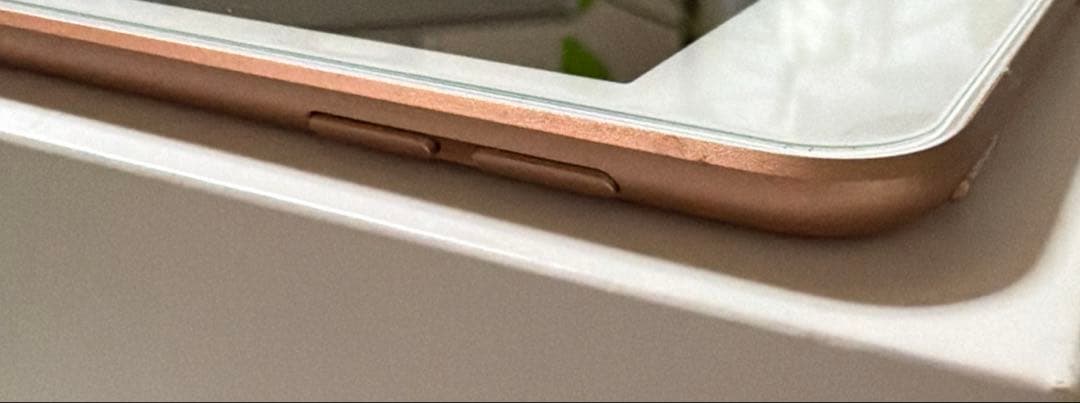 iPad mini Wi-Fi+Cellular 64GB ゴールド