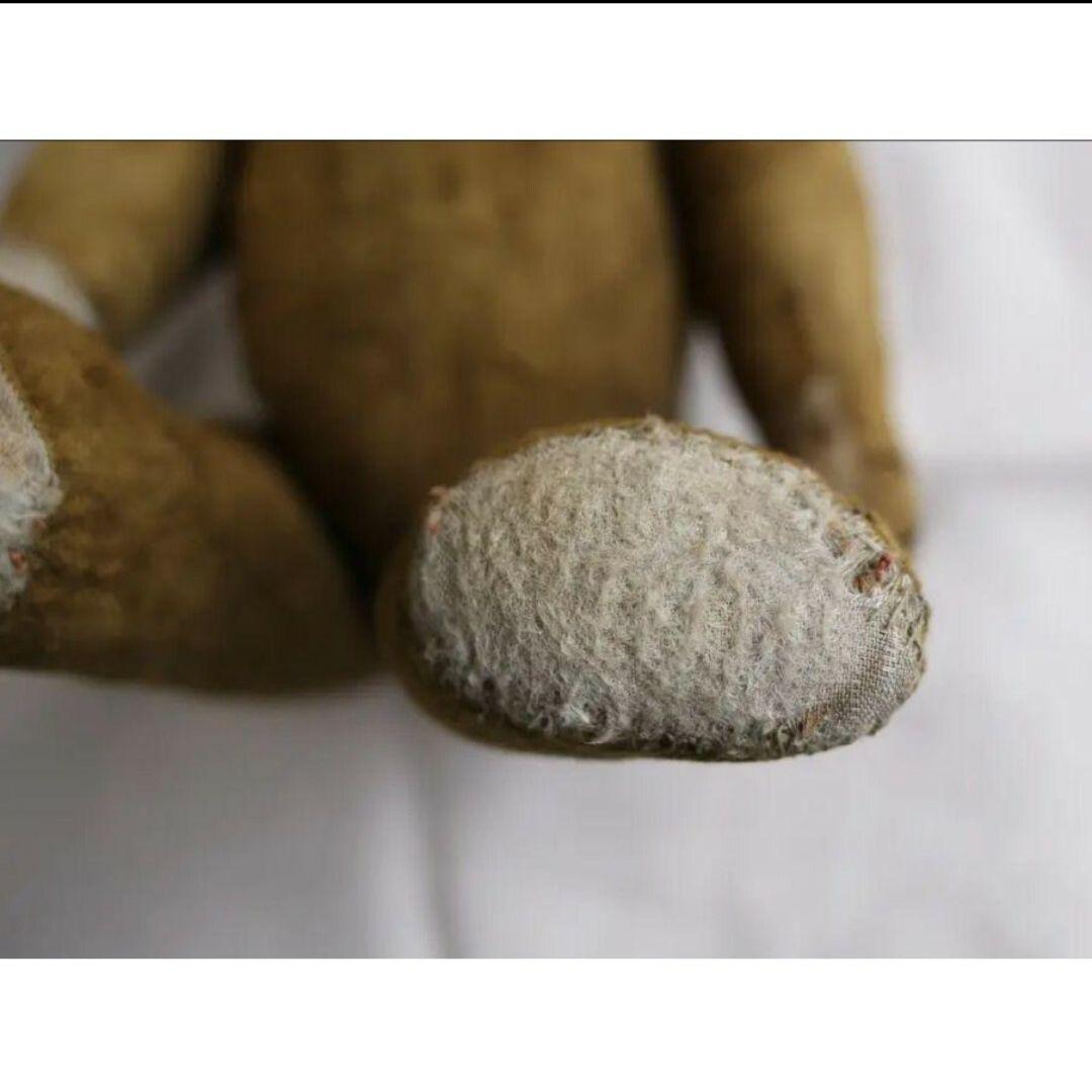 アンティーク 丸顔の古い テディベア フランス