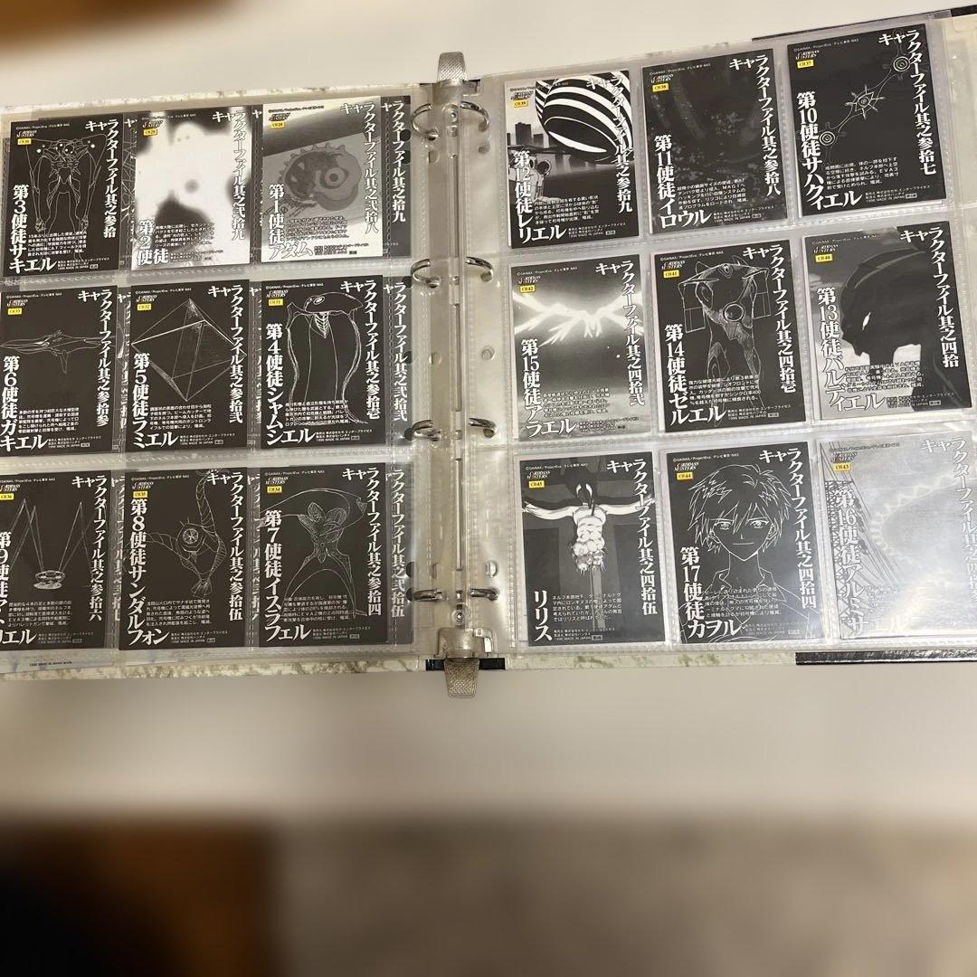 カードダスマスターズ　エヴァンゲリオン　第壱集　セミコンプセット　バインダー付き