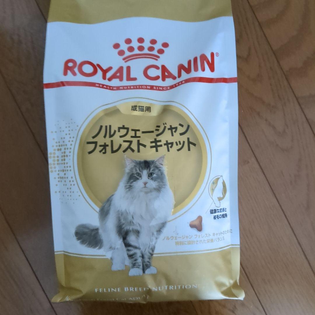  CANIN ノルウェージャンフォレストキャット2kg✕２袋セット