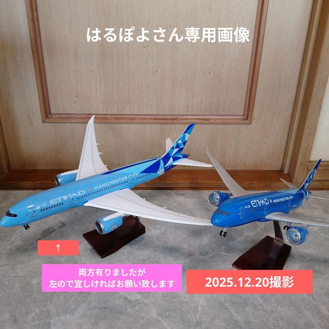 はるぽよさん専用 B787 マンチェスターシティー2