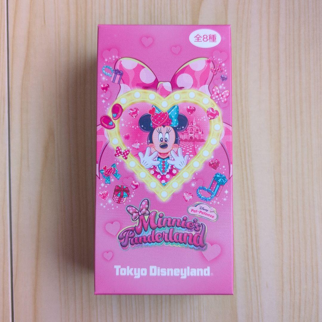 ミニーのファンダーランドパルパルーザ2026ワッペンアクセサリー全種 ディズニー