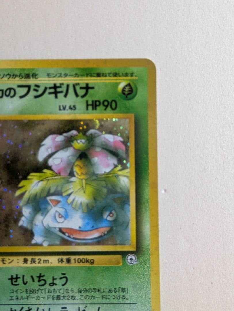 エリカのフシギバナ 旧裏