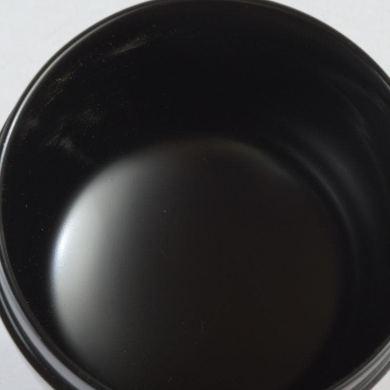 茶道具　輪島塗　花草蒔絵　春風　棗　共箱　V　9460