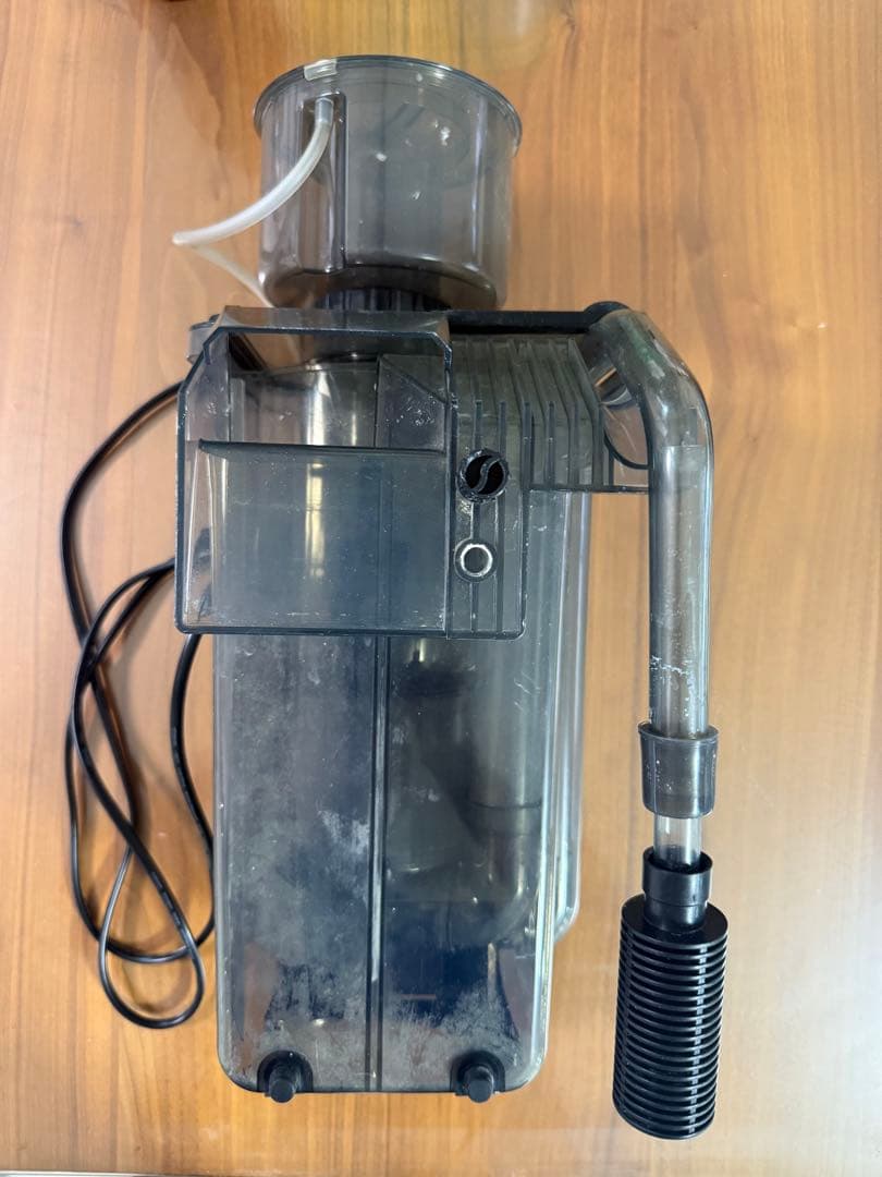 海道ダルマ プロテインスキマー