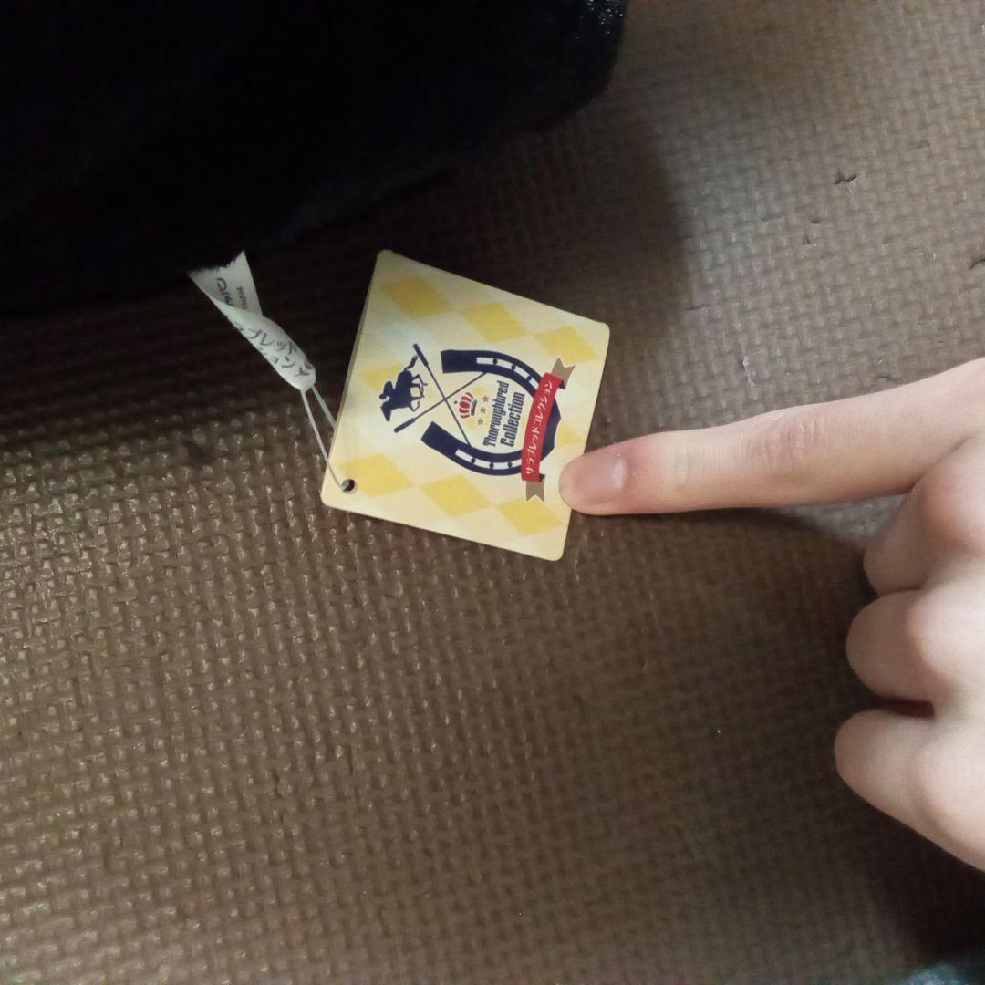 サラブレッドコレクション　イクイノックス　ぬいぐるみ　ビックサイズ