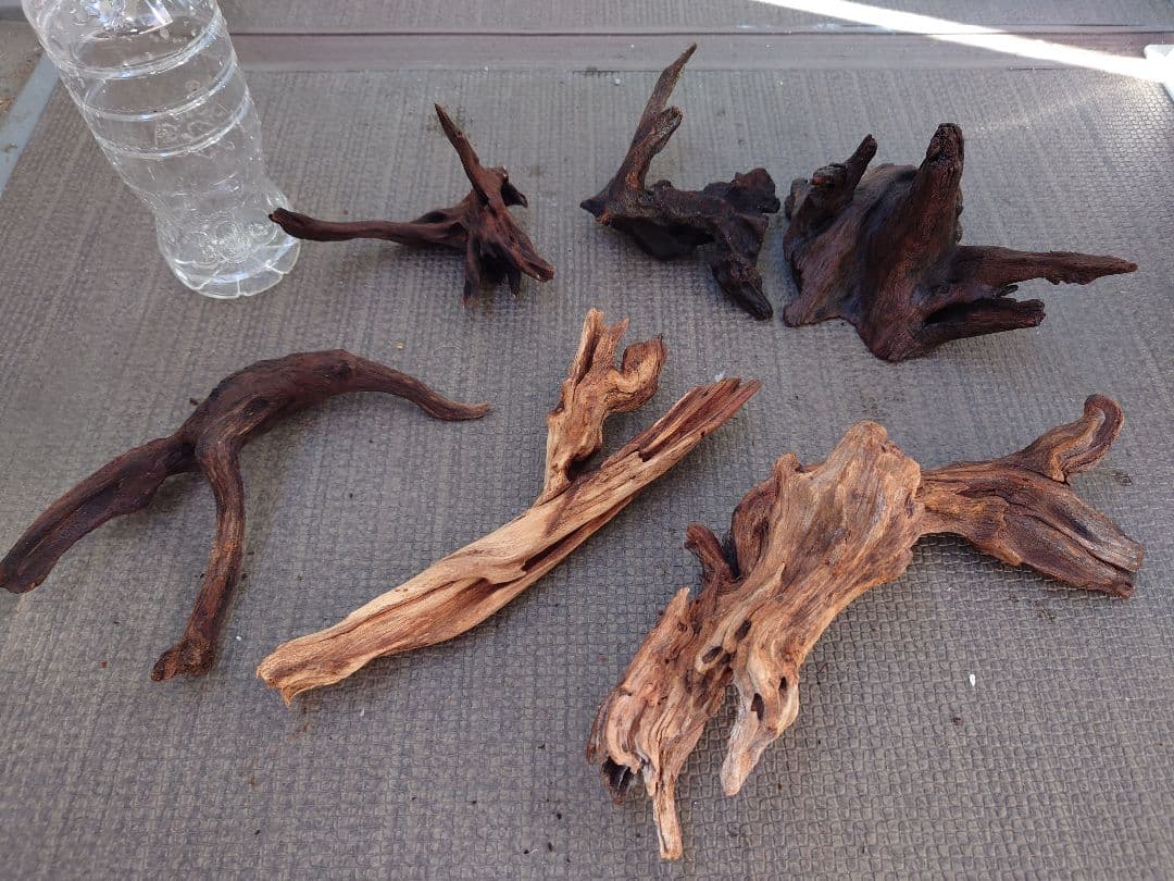 水槽用流木セット