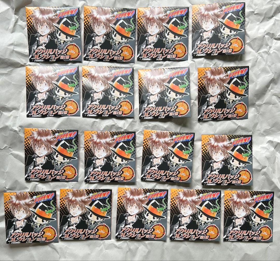 未開封　家庭教師ヒットマンREBORN アクリルバッジコレクション　17点