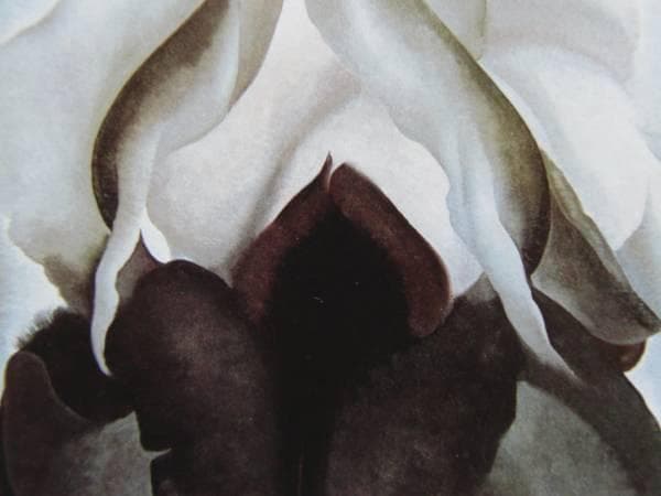 オキーフ、希少画集画、新品額装付 OKE-3-2