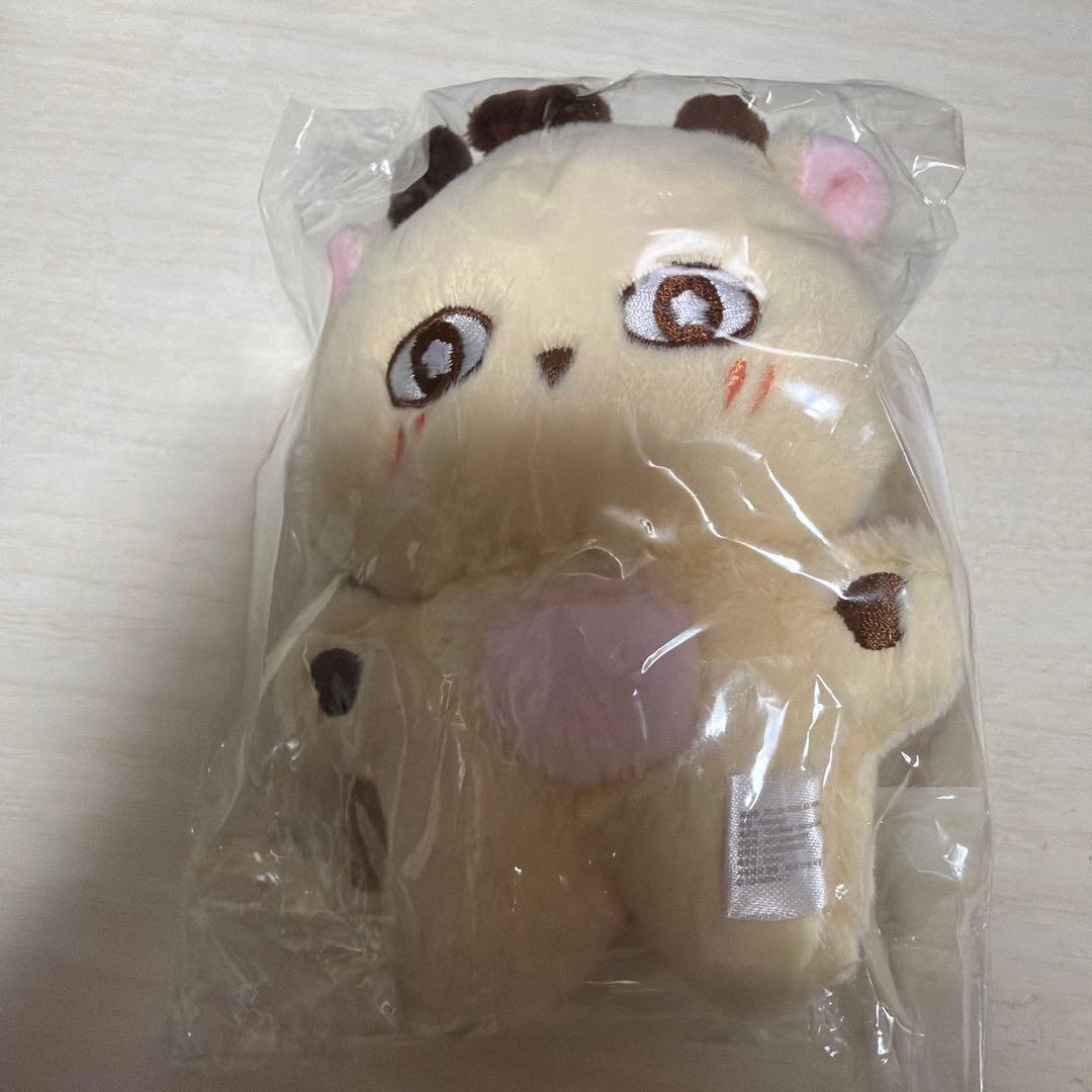 パクジフン　センイルカフェ　ぬいぐるみ　소심이