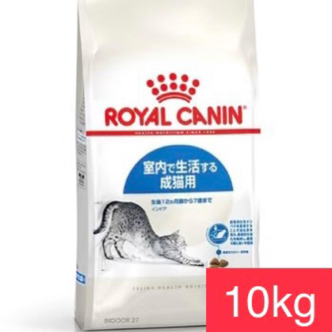 K*m様 【訳あり】ロイヤルカナン インドア 室内で生活する成猫用 10kg