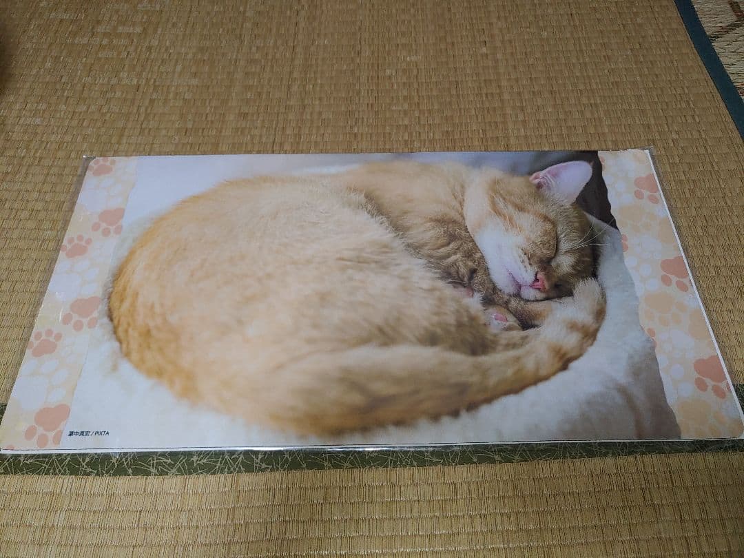 トレカサプライくじEX 猫これくしょん ファイナルドロー賞 プレイマット